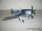 Focke Wulf Fw-190A-5 (13).JPG

58,17 KB 
1024 x 768 
28.06.2014
